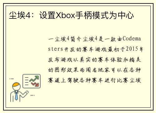 尘埃4：设置Xbox手柄模式为中心